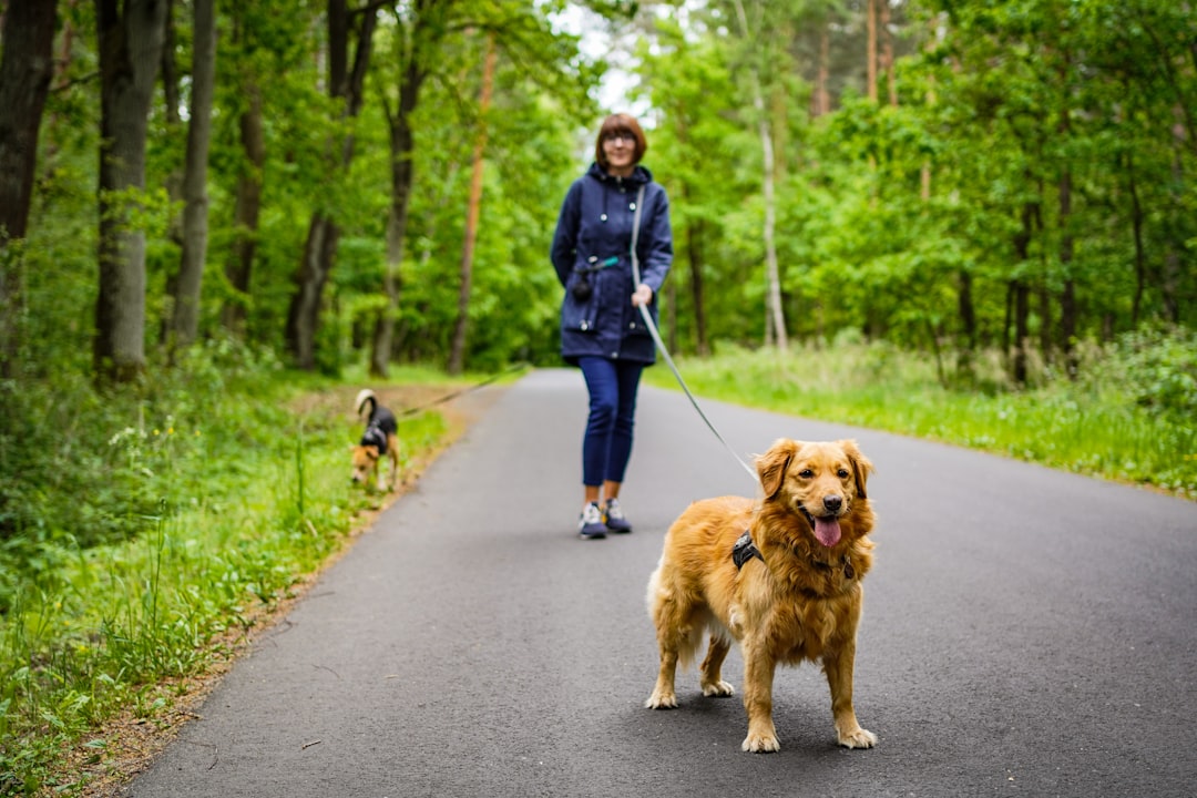 a-person-walking-a-dog-on-a-leash-on-a-path-in-the-woods-yge8mpbwr-o
